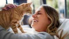 Kocia miłość: jak rozpoznać, że kot ci ufa i cię ceni